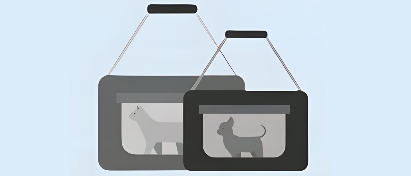 Sample illustration of a carrying container for pets travelling in the cabin